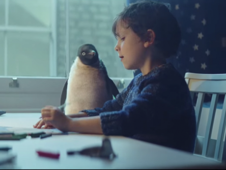 Viral videos of the week: Monty the Penguin, Russell Brand and Martin Shanahan