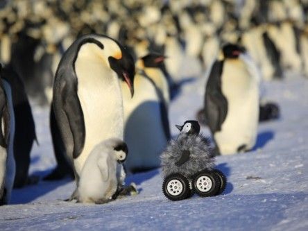 Rovers used as ice-breakers with penguins