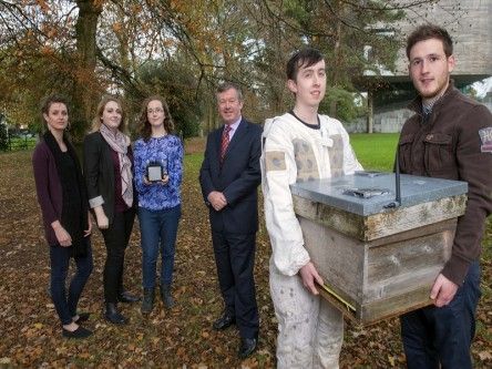 UCC students win global prize for un-bee-lievable tech