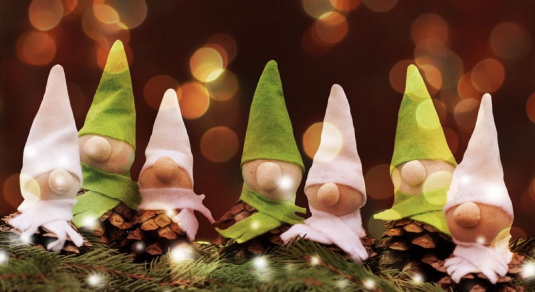10 memes highlight the career of a Christmas elf
