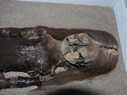 7,000-year-old Chilean mummies, climate change’s latest victims