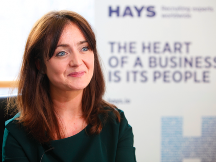 Hays explains the 2015 Irish IT jobs market, and where the opportunities lie