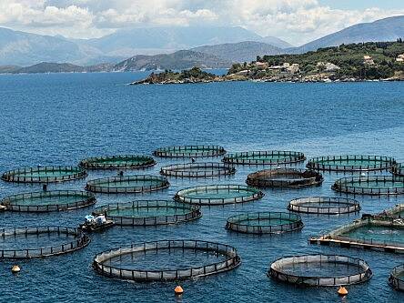 Living the life aquatic: Q-Validus Secures €370,000 for aquaculture data project