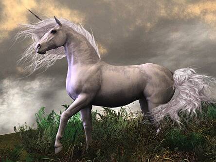 The mythical world of unicorns – 80 tech start-ups today valued at over US$1bn