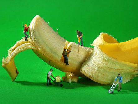 Slipstreams galore in Japan as wearable banana nears launch – yep, wearable banana