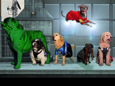 Viral videos of the week: April Fools’ Day bonanza and cute animals take over