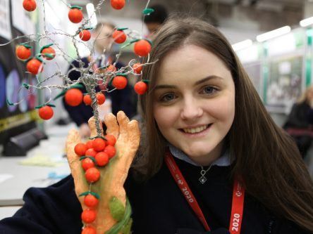 Young scientists tackle issues close to home at BTYSTE 2020