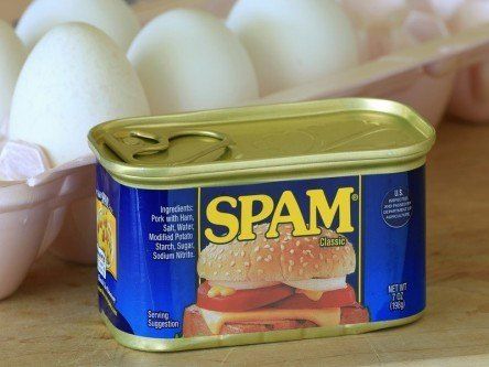 10 most common spam emails offices receive