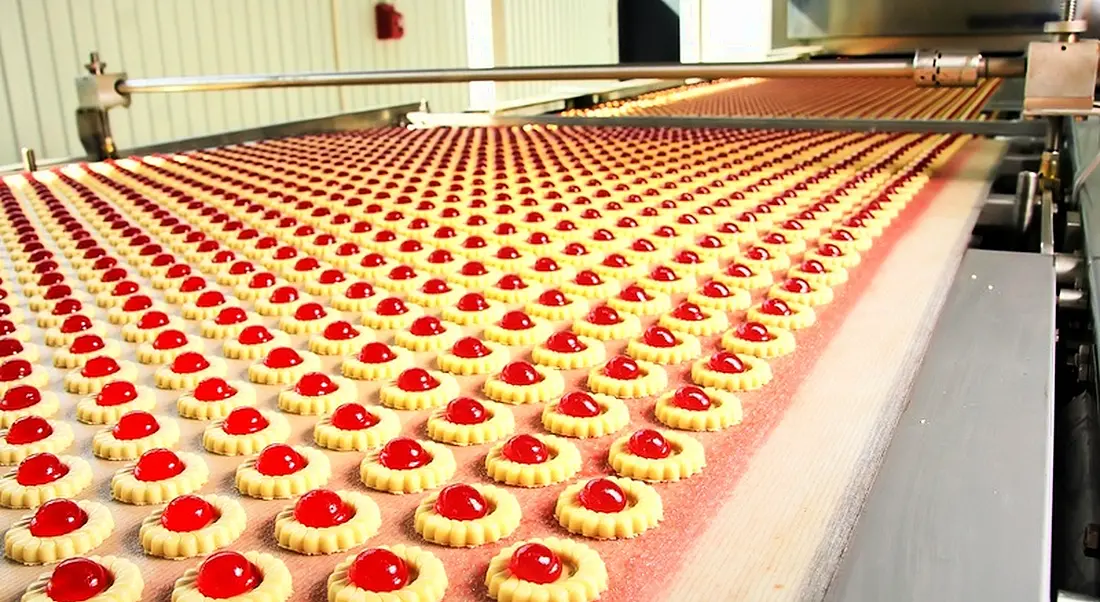 Biscuit manufacturing line