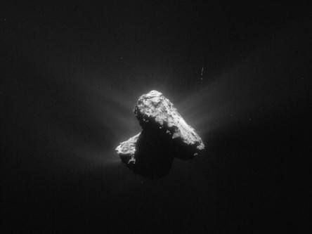 Proponents of life on Comet 67p feeling pretty lonely right now