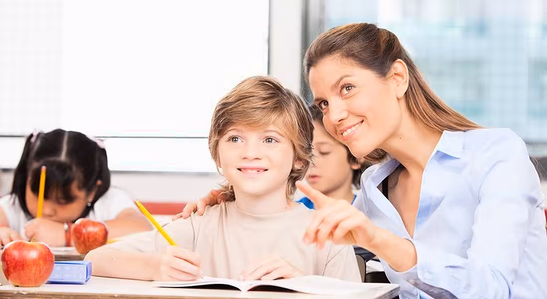 Teachers