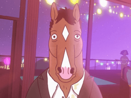 BoJack Horseman renewed for a third season