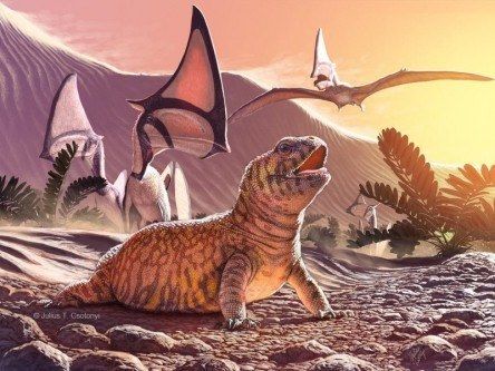 Mini T-Rex and chubby lizard discovered by palaeontologists