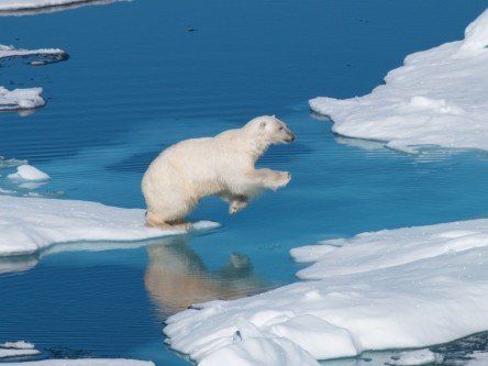 Sea levels could rise by 3 feet in 100 years – NASA
