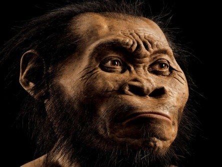 Homo naledi: The human ancestor fascinating anthropology