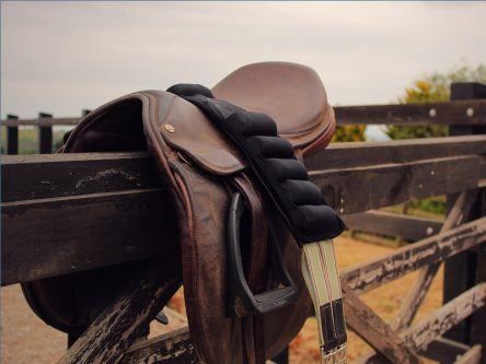New saddle invention ensures horses have their day at the races
