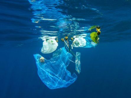 Unintended consequences: Is design the new single-use plastic?