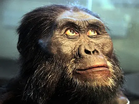 Who is Lucy the Australopithecus? Google Doodle reveals all