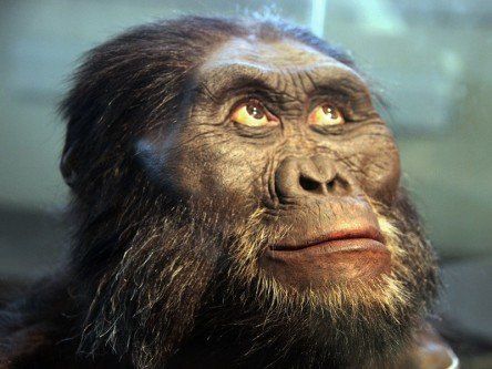 Who is Lucy the Australopithecus? Google Doodle reveals all