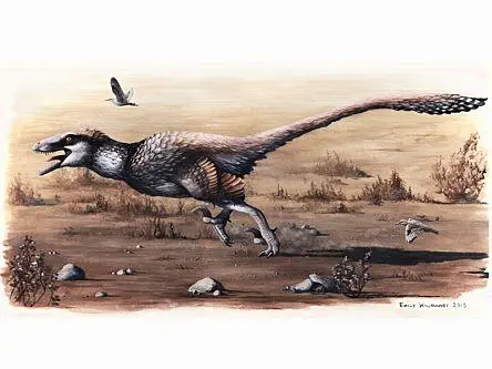 Dakotaraptor, much bigger than a Velociraptor, was ‘utterly lethal’