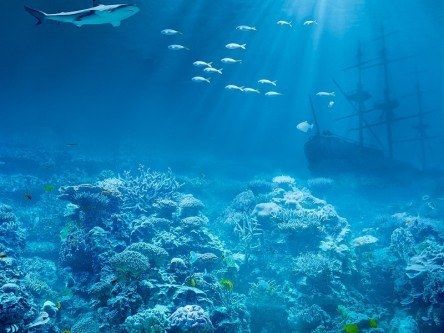 Mysteries of the world’s intriguing oceans (infographic)