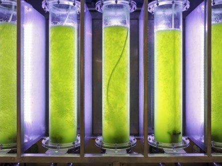 Biobased SMEs in north Europe backed to tune of €70m