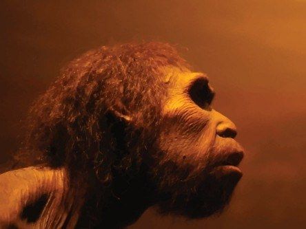 Spread of STDs helped kill off European Neanderthals