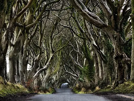 5 Game of Thrones maps to help navigate the Known World