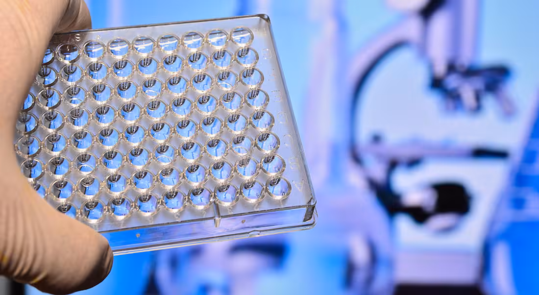 Merck jobs in Cork