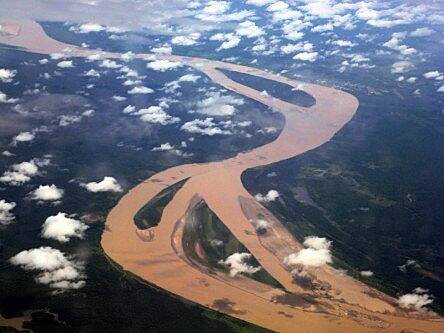 Coral reef just discovered in Amazon already under threat