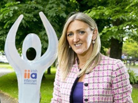 E-commerce is not ‘The Field of Dreams’, says IIA CEO Joan Mulvihill
