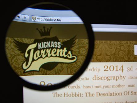 US arrests alleged owner of KickassTorrents over $1bn copyright claims