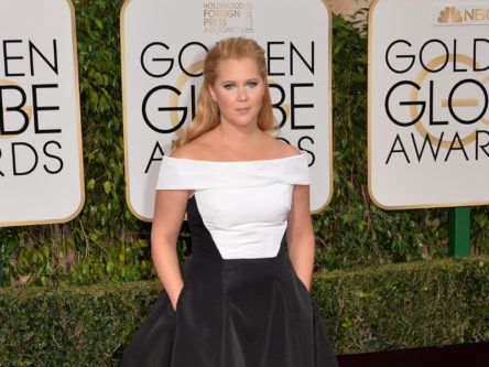 Amy Schumer and Justin Bieber the most dangerous celebs online