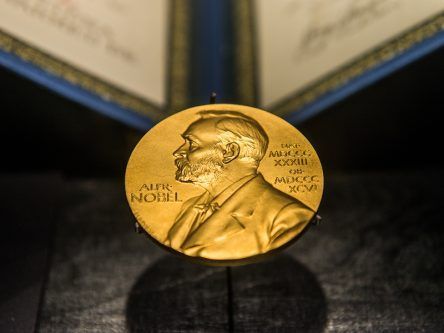 Who are the potential winners of this year’s Nobel Prize?