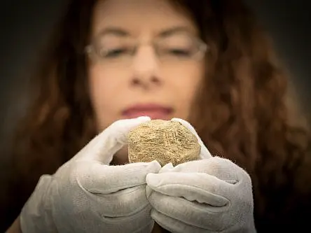 A bear bone from Clare has rewritten Irish human history by 2,500 years