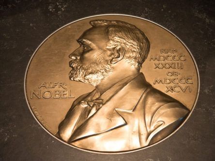 The numbers behind the lauded Nobel Prize