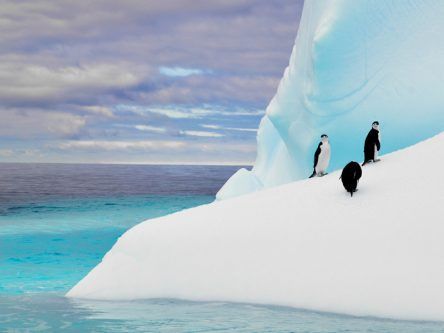 West Antarctic ice will collapse ‘in our lifetimes’
