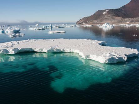 ‘Vicious circle’ of climate change is rapidly melting the Arctic at record level