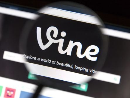 Twitter could ditch Vine for as little as $10m