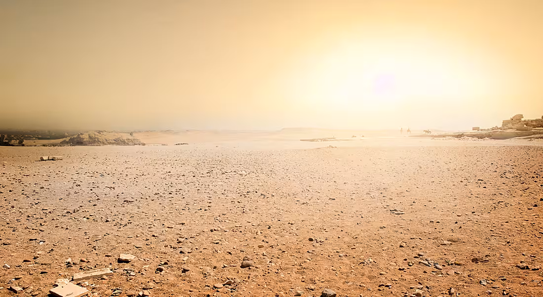 Desert scene