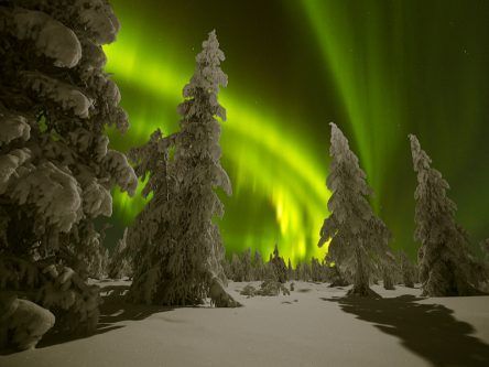 The Northern Lights: Revel in their beauty and be enchanted