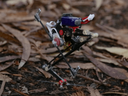 Meet Salto, the most agile wall-jumping robot ever built