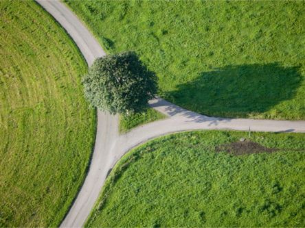 Q&A: Northern Ireland at the crossroads in renewable energy