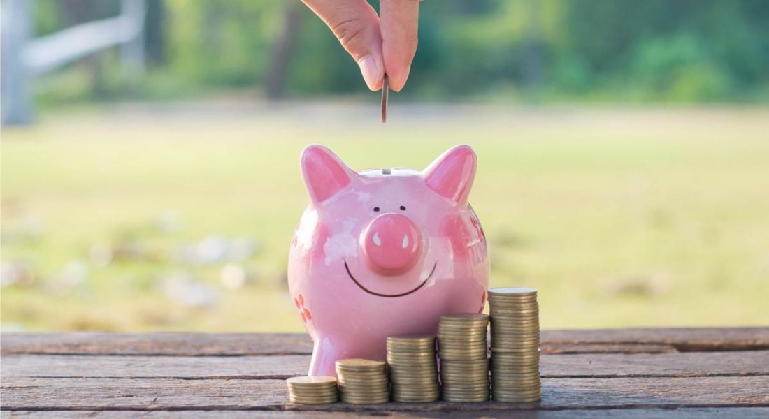 Basic income: piggy bank