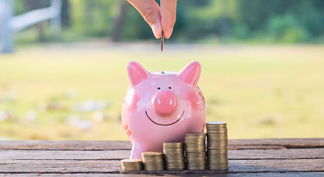 Basic income: piggy bank