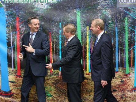 Branch networking: Treemetrics inks €1m deal with Coillte