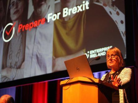 ‘Irish SMEs need to do more to prepare themselves for Brexit’ – Julie Sinnamon, Enterprise Ireland