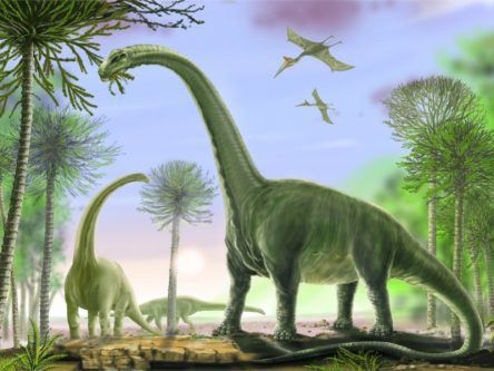 What you need to know about the biggest dinosaur ever discovered