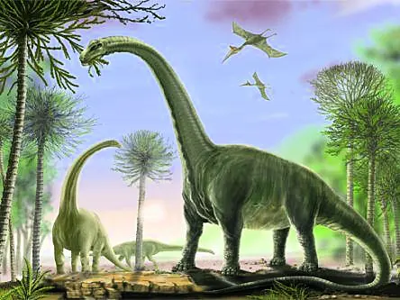 What you need to know about the biggest dinosaur ever discovered