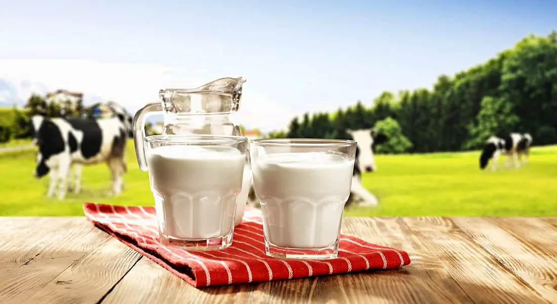 Milk facility jobs